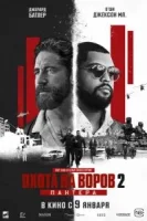 Охота на воров 2: Пантера